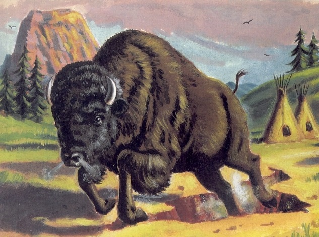 上图:两角陆兽示意图。