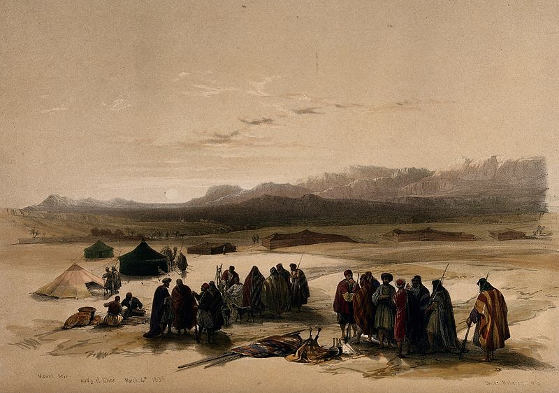 上图:1849年的一封版画,远处是西珥山。西珥山是约旦高原从死海到亚喀巴湾之间海拔1000多米的一片山区,不在应许之地的范围内。