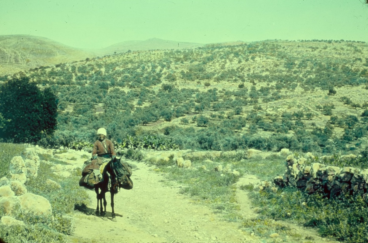 上图：伯·和仑的上坡路（Ascent of Beth-horon），是古代从沿海平原（如港口约帕）到中央山地（如耶路撒冷、伯特利）的必经之路。照片摄于1955-1977年，美国国会图书馆收藏。