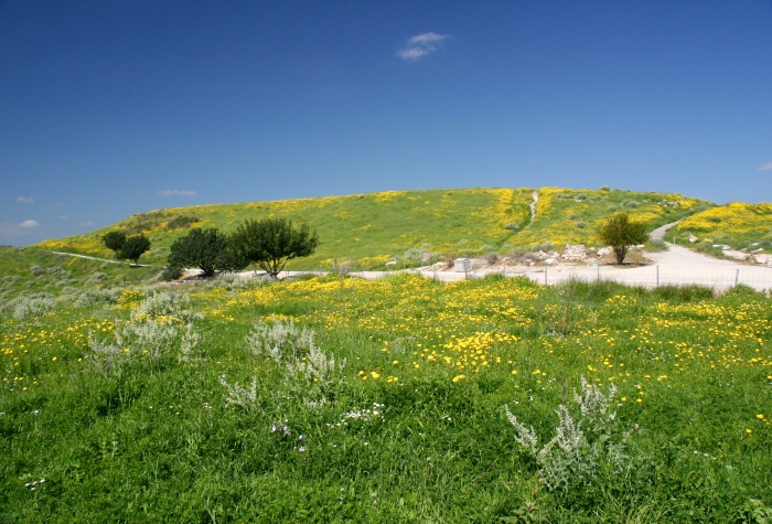 上图:位于耶路撒冷西南、拉吉东北约6公里的桑达卡纳遗址(Tell Sandahannah),被认为就是玛利沙。